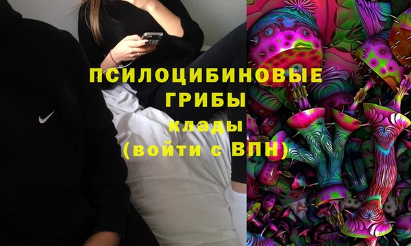 каннабис Богородицк