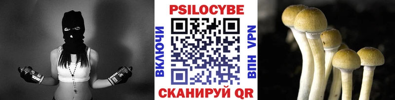 купить   Комсомольск  Галлюциногенные грибы GOLDEN TEACHER 